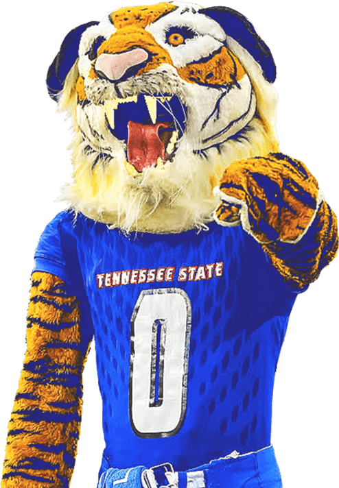 Tennessee State Athletic Fund tennessee-state-athletic-fund