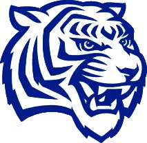 tiger head logo